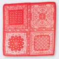 Red scarf/head wrap